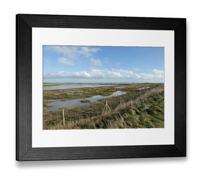 Framed Print : View over estuary marshland from coastal embankment, reclaimed saltmarsh in managed retreat scheme Framed Print : View over estuary marshland from coastal embankment, reclaimed saltmarsh in managed retreat scheme
