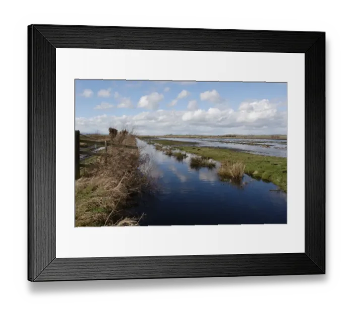Framed Print : View of flooded floodplain grassland and wetland habitat, Greylake RSPB Reserve, Somerset Levels, Somerset, England Framed Print : View of flooded floodplain grassland and wetland habitat, Greylake RSPB Reserve, Somerset Levels, Somerset, England