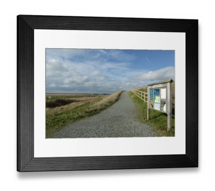 Framed Print : Reserve entrance sign and path in estuary marshland, reclaimed saltmarsh in managed retreat scheme Framed Print : Reserve entrance sign and path in estuary marshland, reclaimed saltmarsh in managed retreat scheme