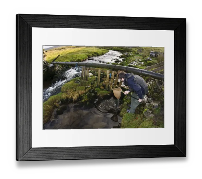 Framed Print : Entomologist surveying for invertebrates in river, above Catrigg Force, Stainforth Beck, Stainforth