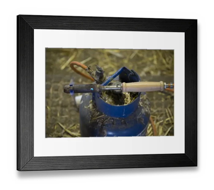 Framed Print : Gas-powered dehorning iron heating up on dairy farm, Cheshire, England, February