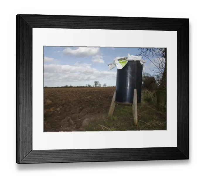 Framed Print : Gamebird feeder in hedgerow at edge of arable farmland, Mendlesham, Suffolk, England, February Framed Print : Gamebird feeder in hedgerow at edge of arable farmland, Mendlesham, Suffolk, England, February