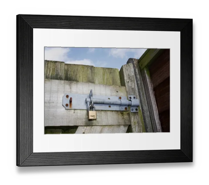 Framed Print : Bolt and padlock on garden gate, Mendlesham, Suffolk, England, February