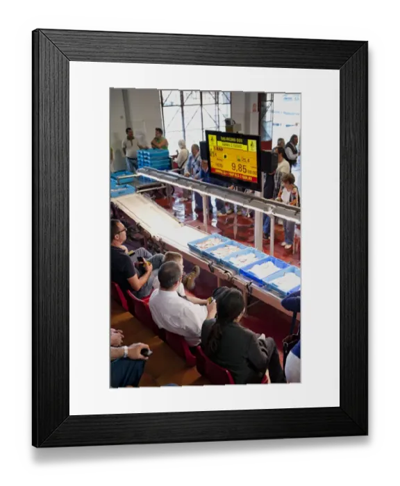 Framed Print : Fresh seafood being sold at auction, with wholesalers bidding at lots, Xabia, Alicante Province, Valencia, Spain, May Framed Print : Fresh seafood being sold at auction, with wholesalers bidding at lots, Xabia, Alicante Province, Valencia, Spain, May