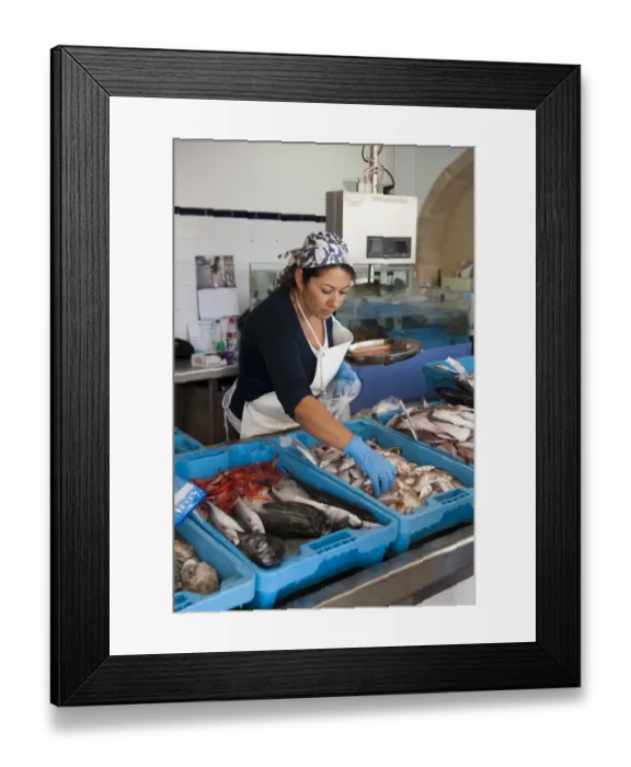 Framed Print : Woman selling freshly landed fish on market stall, Xabia, Alicante Province, Valencia, Spain, May Framed Print : Woman selling freshly landed fish on market stall, Xabia, Alicante Province, Valencia, Spain, May