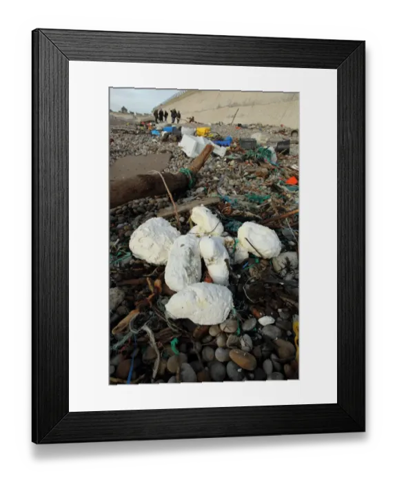 Framed Print : Rancid vegetable oil amongst rubbish washed up on beach, Chesil Beach, Dorset, England, February Framed Print : Rancid vegetable oil amongst rubbish washed up on beach, Chesil Beach, Dorset, England, February