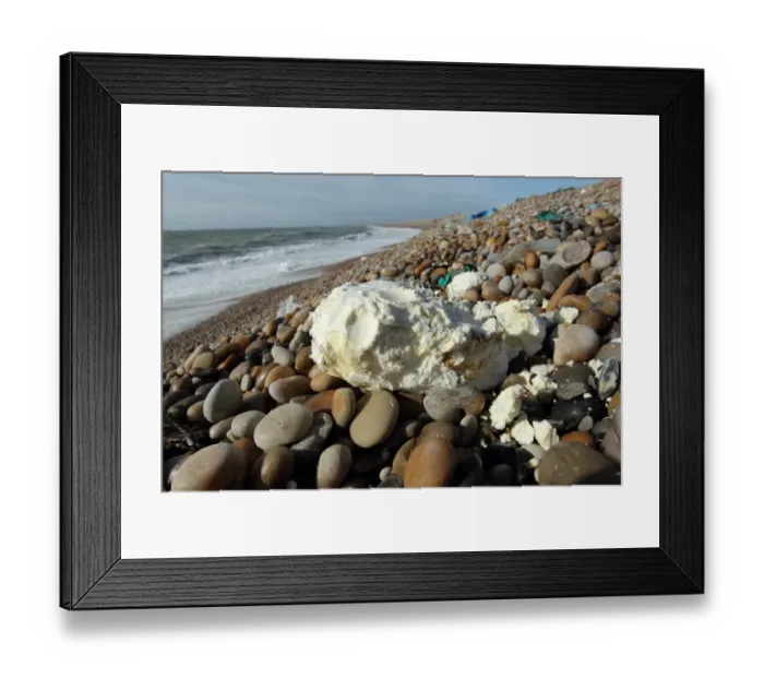 Framed Print : Rancid vegetable oil washed up on beach, Chesil Beach, Dorset, England, February Framed Print : Rancid vegetable oil washed up on beach, Chesil Beach, Dorset, England, February