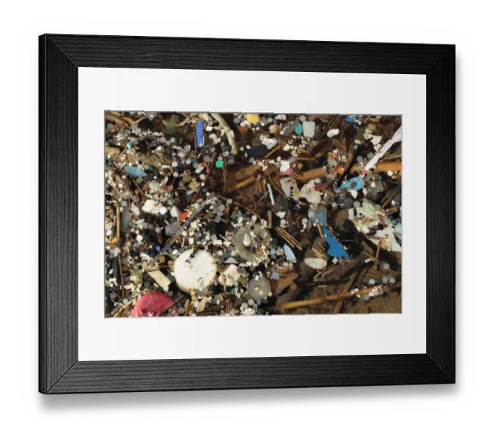Framed Print : Micro plastics in pool, tiny nurdles and plastic debris in rockpool, Gower Peninsula, West Glamorgan, Wales, March
