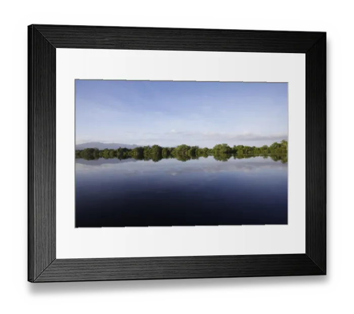 Framed Print : View across coastal bay to mangrove swamp habitat, Tela Bay, Atlantida, Honduras, August Framed Print : View across coastal bay to mangrove swamp habitat, Tela Bay, Atlantida, Honduras, August
