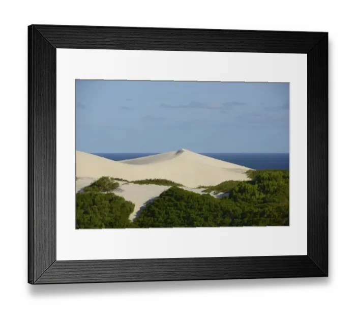 Framed Print : View of white sand dunes and coastal fynbos habitat, De Hoop Nature Reserve, Western Cape, South Africa, February Framed Print : View of white sand dunes and coastal fynbos habitat, De Hoop Nature Reserve, Western Cape, South Africa, February