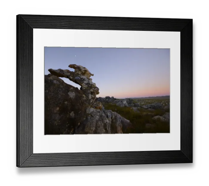 Framed Print : View of rock formations in upland habitat at sunset, Winterhoekberge, Western Cape, South Africa, February Framed Print : View of rock formations in upland habitat at sunset, Winterhoekberge, Western Cape, South Africa, February