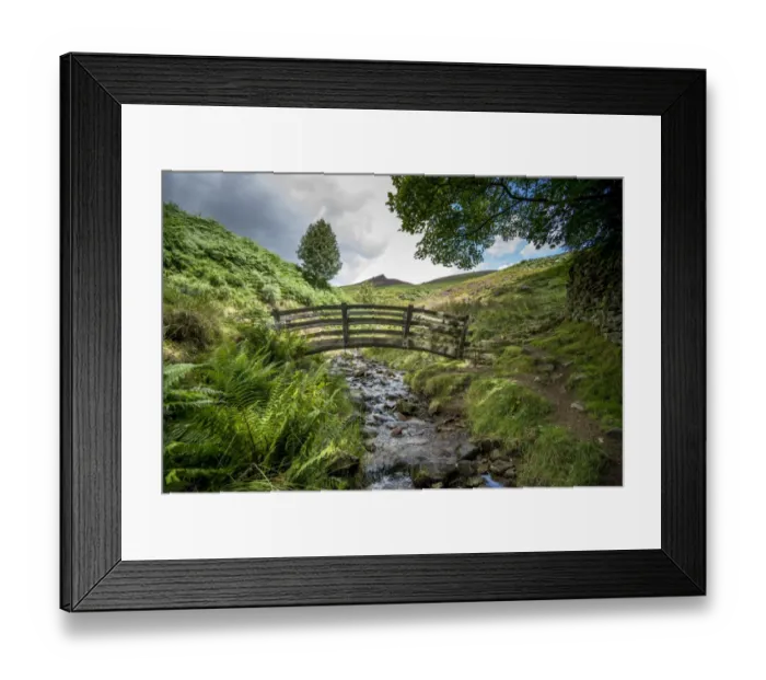 Framed Print : View with footbridge over stream, with Rowan (Sorbus aucuparia), heather and bracken on moorland, Grindsbrook Clough Framed Print : View with footbridge over stream, with Rowan (Sorbus aucuparia), heather and bracken on moorland, Grindsbrook Clough