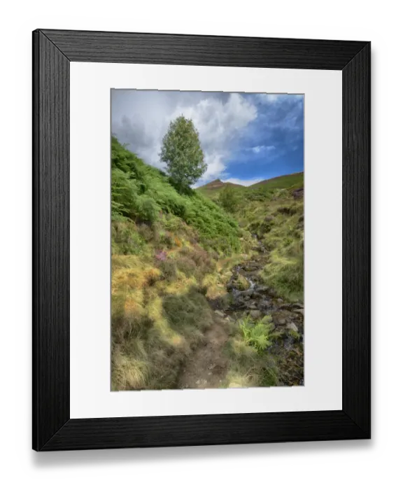 Framed Print : View of stream with Rowan (Sorbus aucuparia), heather and bracken on moorland, Grindsbrook Clough, Edale