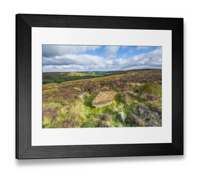 Framed Print : Gritstone boulders with flowering Common Heather (Calluna vulgaris) on moorland habitat, Blakey Ridge