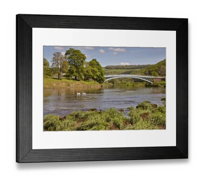 Framed Print : View of river, swimming geese and bridge, Bigsweir Bridge, Bigsweir, River Wye, Lower Wye Valley, Monmouthshire, Wales Framed Print : View of river, swimming geese and bridge, Bigsweir Bridge, Bigsweir, River Wye, Lower Wye Valley, Monmouthshire, Wales