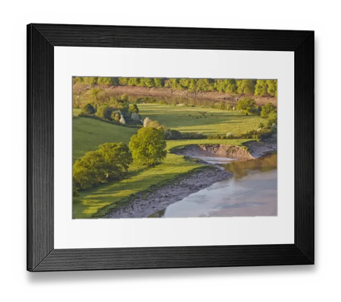 Framed Print : View of river with riverbank erosion at dawn, Lower Wyndcliff, Chepstow, River Wye, Lower Wye Valley, Monmouthshire Framed Print : View of river with riverbank erosion at dawn, Lower Wyndcliff, Chepstow, River Wye, Lower Wye Valley, Monmouthshire