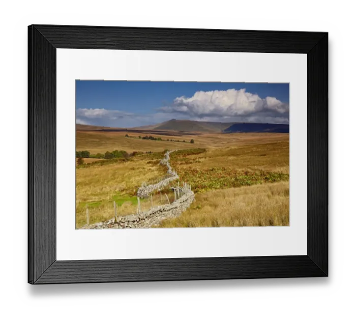 Framed Print : View of wire topped drystone wall in upland habitat, Penyfan in distance, Brecon Beacons N. P. Powys, Wales, October Framed Print : View of wire topped drystone wall in upland habitat, Penyfan in distance, Brecon Beacons N. P. Powys, Wales, October