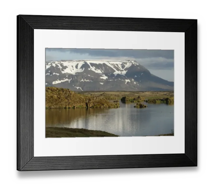 Framed Print : View of lake habitat and distant mountain, Lake Myvatyn, Blafjall, Myvatn, Iceland, June Framed Print : View of lake habitat and distant mountain, Lake Myvatyn, Blafjall, Myvatn, Iceland, June