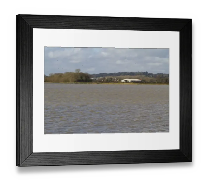 Framed Print : View across flooded watermeadow habitat, Pulborough Brooks RSPB Reserve, West Sussex, England, February Framed Print : View across flooded watermeadow habitat, Pulborough Brooks RSPB Reserve, West Sussex, England, February