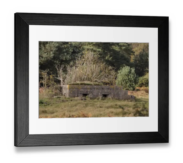 Framed Print : World war two Pillbox at Aldringham walks conservation area, part of the Suffolk Sandlings managed by the RSPB