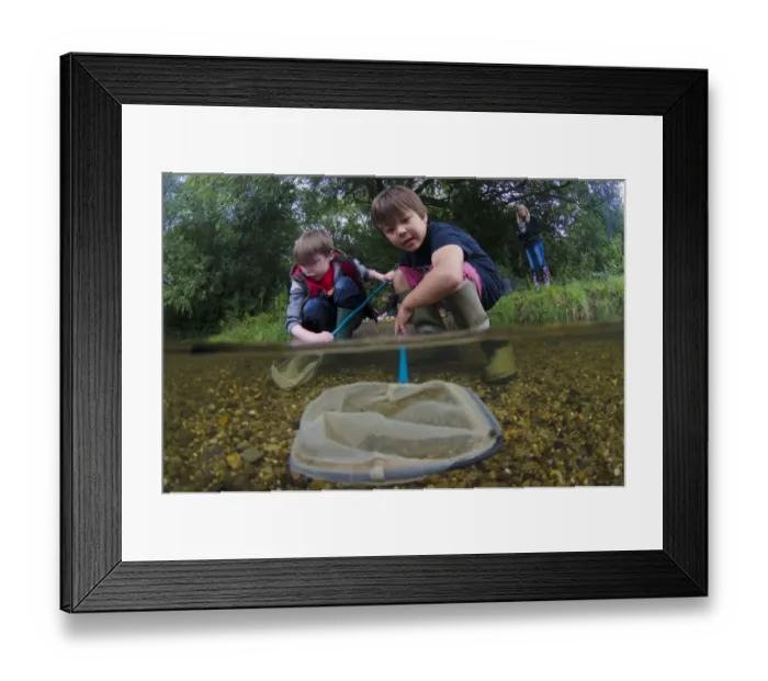 Framed Print : Children pond-dipping with nets in river, Fairham Brook, Nottingham, Nottinghamshire, England, August Framed Print : Children pond-dipping with nets in river, Fairham Brook, Nottingham, Nottinghamshire, England, August