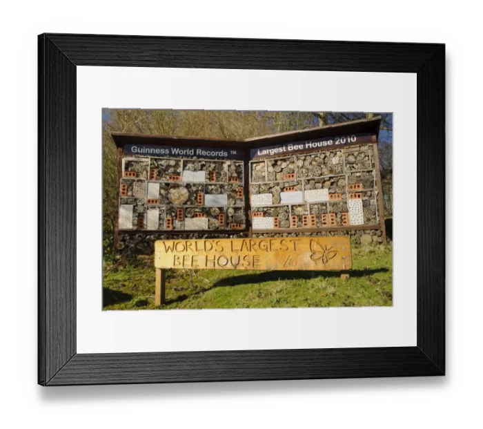 Framed Print : Worlds Largest Bee House, Guinness World Record holder for largest bug hotel, Sevenoaks Wildlife Reserve, Kent Framed Print : Worlds Largest Bee House, Guinness World Record holder for largest bug hotel, Sevenoaks Wildlife Reserve, Kent
