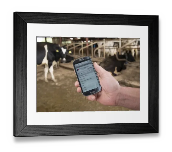Framed Print : Farm management programme on smart phone held in hand, in cubicle house on dairy farm, Cheshire, England, August Framed Print : Farm management programme on smart phone held in hand, in cubicle house on dairy farm, Cheshire, England, August