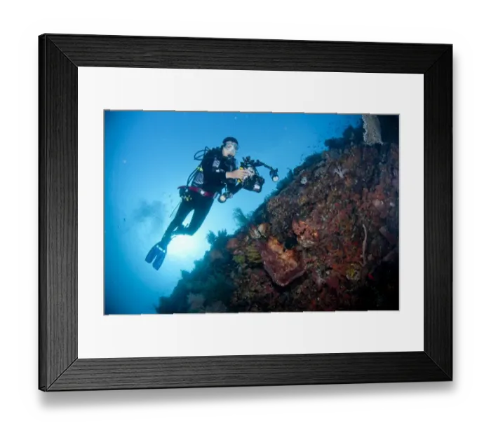 Framed Print : Scuba diver with underwater camera equipment, swimming over coral wall at caldera dive site, Mount Komba Framed Print : Scuba diver with underwater camera equipment, swimming over coral wall at caldera dive site, Mount Komba