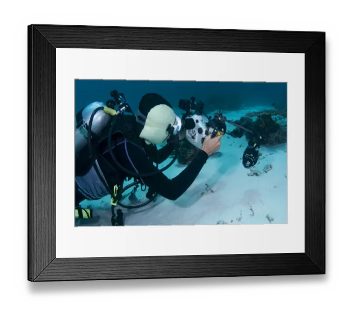 Framed Print : Scuba diver with underwater camera equipment, Ameth Point, Nusa Laut, Lease Islands, Maluku Province, Indonesia Framed Print : Scuba diver with underwater camera equipment, Ameth Point, Nusa Laut, Lease Islands, Maluku Province, Indonesia