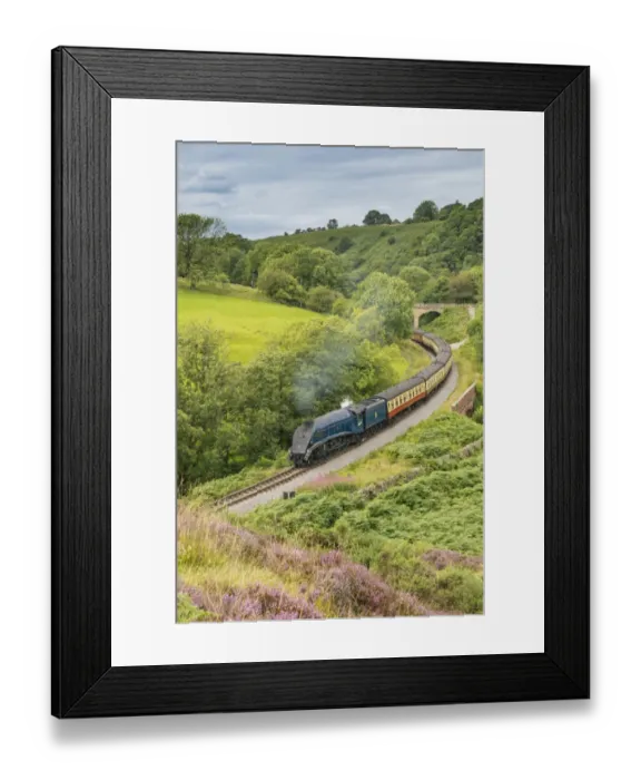 Framed Print : Sir Nigel Gresley steam train and carriages, travelling through moorland from Pickering to Goathland Framed Print : Sir Nigel Gresley steam train and carriages, travelling through moorland from Pickering to Goathland