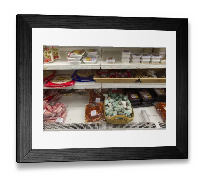 Framed Print : Common Guillemot (Uria aalge) eggs, for sale in supermarket, Iceland, June Framed Print : Common Guillemot (Uria aalge) eggs, for sale in supermarket, Iceland, June