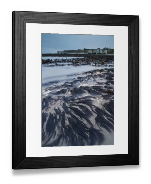 Framed Print : Seaweed fronds and incoming tide at dawn, Kingsgate Bay, Broadstairs, Kent, England, January Framed Print : Seaweed fronds and incoming tide at dawn, Kingsgate Bay, Broadstairs, Kent, England, January