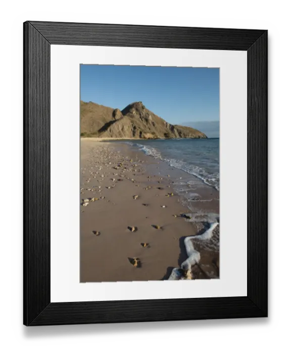 Framed Print : View of pink beach shoreline at sunset, Padar Island, Komodo N. P. Lesser Sunda Islands, Indonesia, July Framed Print : View of pink beach shoreline at sunset, Padar Island, Komodo N. P. Lesser Sunda Islands, Indonesia, July