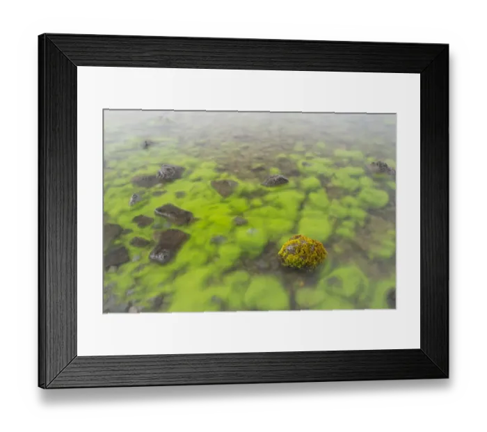 Framed Print : Mossy stone in lake, Lake Thingvallavatn, Thingvellir N. P. Iceland, June