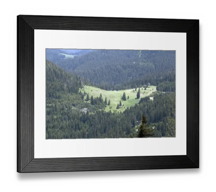 Framed Print : Pine forest and open glades in Rhodope mountains, Bulgaria