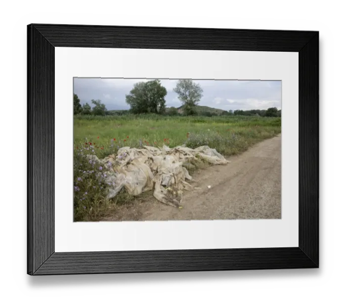 Framed Print : Farm rubbish, plastic cover crop waste, left at field edge Framed Print : Farm rubbish, plastic cover crop waste, left at field edge