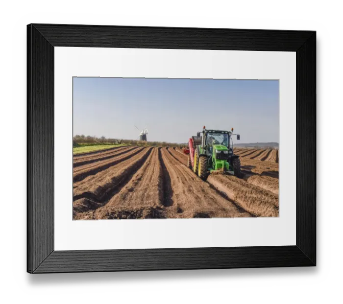 Framed Print : Potato (Solanum tuberosum) crop, John Deere tractor with mechanical equipment used to create soil tilth Framed Print : Potato (Solanum tuberosum) crop, John Deere tractor with mechanical equipment used to create soil tilth