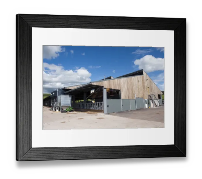 Framed Print : Dairy farming, new dairy unit building, built on greenfield site, Dumfries, Dumfries and Galloway, Scotland, June Framed Print : Dairy farming, new dairy unit building, built on greenfield site, Dumfries, Dumfries and Galloway, Scotland, June
