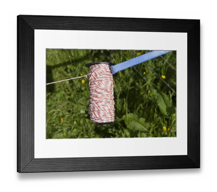 Framed Print : Roll of electric fence wire in pasture on farm, Scotland, June Framed Print : Roll of electric fence wire in pasture on farm, Scotland, June