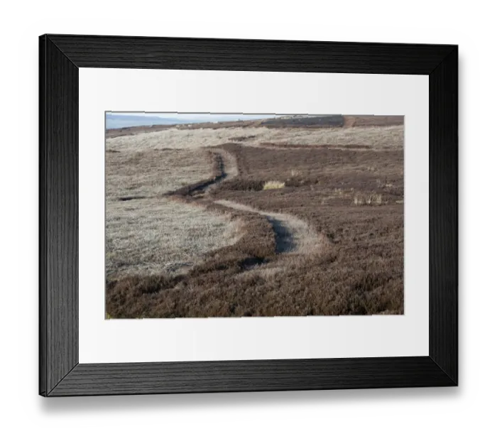 Framed Print : Firebreak strips at edge of heather burning plot on dales moorland, Yorkshire, England, March Framed Print : Firebreak strips at edge of heather burning plot on dales moorland, Yorkshire, England, March