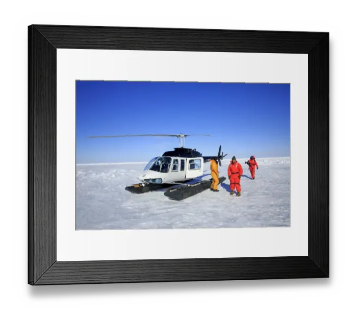 Framed Print : Tourists with helicopter on pack ice, preparing to visit Harp Seal (Pagophilus groenlandicus) colony, Magdalen Islands Framed Print : Tourists with helicopter on pack ice, preparing to visit Harp Seal (Pagophilus groenlandicus) colony, Magdalen Islands