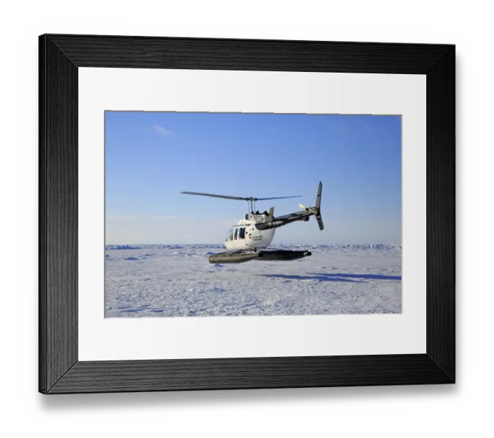 Framed Print : Tourist helicopter in flight over pack ice, departing to visit Harp Seal (Pagophilus groenlandicus) colony Framed Print : Tourist helicopter in flight over pack ice, departing to visit Harp Seal (Pagophilus groenlandicus) colony