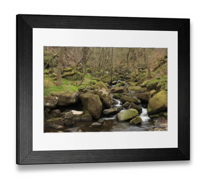 Framed Print : Sessile Oak (Quercus petraea) ancient woodland habitat with stream cascading over rocks, Padley Gorge, Dark Peak