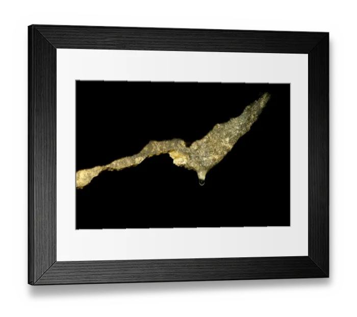 Framed Print : Drop of water poised on tip of new stalactite limestone rock formation in cave, Ingleborough Cave, Yorkshire Dales N. P