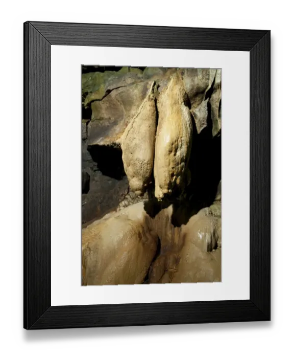 Framed Print : Limestone rock formation known as Queen Victorias Bloomers in cave, Ingleborough Cave, Yorkshire Dales N. P Framed Print : Limestone rock formation known as Queen Victorias Bloomers in cave, Ingleborough Cave, Yorkshire Dales N. P