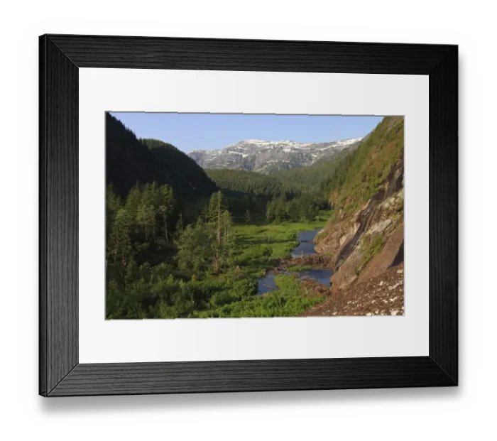 Framed Print : View of glacial valley and temperate coastal rainforest habitat, Inside Passage, Coast Mountains Framed Print : View of glacial valley and temperate coastal rainforest habitat, Inside Passage, Coast Mountains