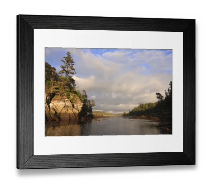 Framed Print : View of coastline and temperate coastal rainforest in evening sunlight, Spider Anchorage, Coast Mountains