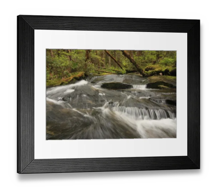 Framed Print : Fast-flowing stream in temperate coastal rainforest habitat, Roscoe Inlet, Coast Mountains, Great Bear Rainforest Framed Print : Fast-flowing stream in temperate coastal rainforest habitat, Roscoe Inlet, Coast Mountains, Great Bear Rainforest