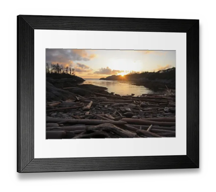 Framed Print : View of driftwood beach and temperate coastal rainforest at sunset, Spider Anchorage, Coast Mountains Framed Print : View of driftwood beach and temperate coastal rainforest at sunset, Spider Anchorage, Coast Mountains