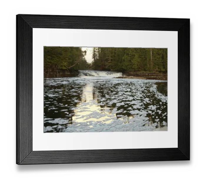 Framed Print : River mouth in flood and temperate coastal rainforest, Coast Mountains, Great Bear Rainforest, British Columbia